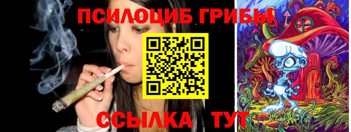 Галлюциногенные грибы Psilocybe  Вход с VPN  Ханты-Мансийск 